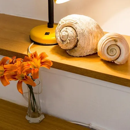 House Lopin Appartement